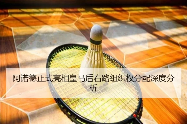 a-nuo-de-zheng-shi-liang-xiang-huang-ma-hou-you-lu-zu-zhi-quan-fen-pei-shen-du-fen-xi-2-583.jpg